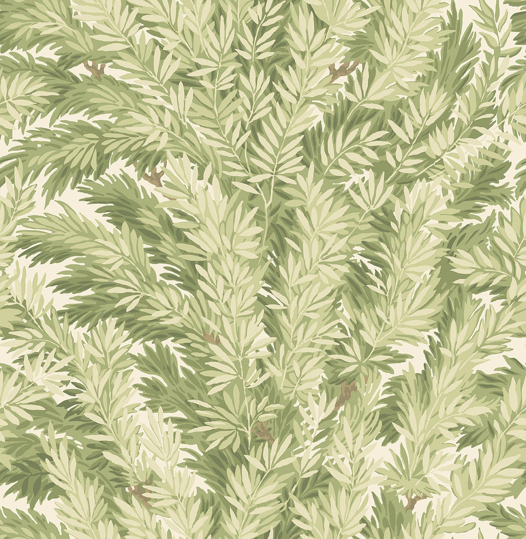 Florencecourt Olive on Cream