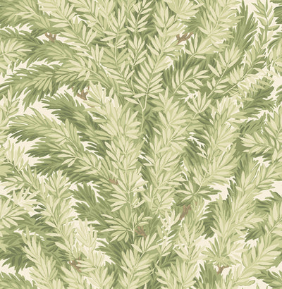 Florencecourt Olive on Cream