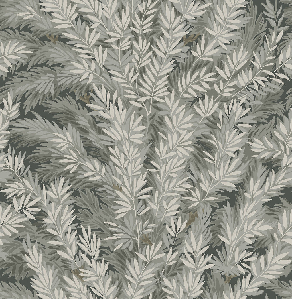Florencecourt Grey on Slate