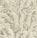 Florencecourt Stone on White