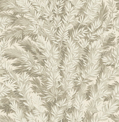 Florencecourt Stone on White