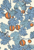Frutto Proibito Hyacinth & Orange on White