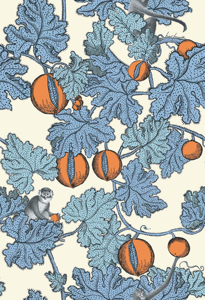 Frutto Proibito Hyacinth & Orange on White