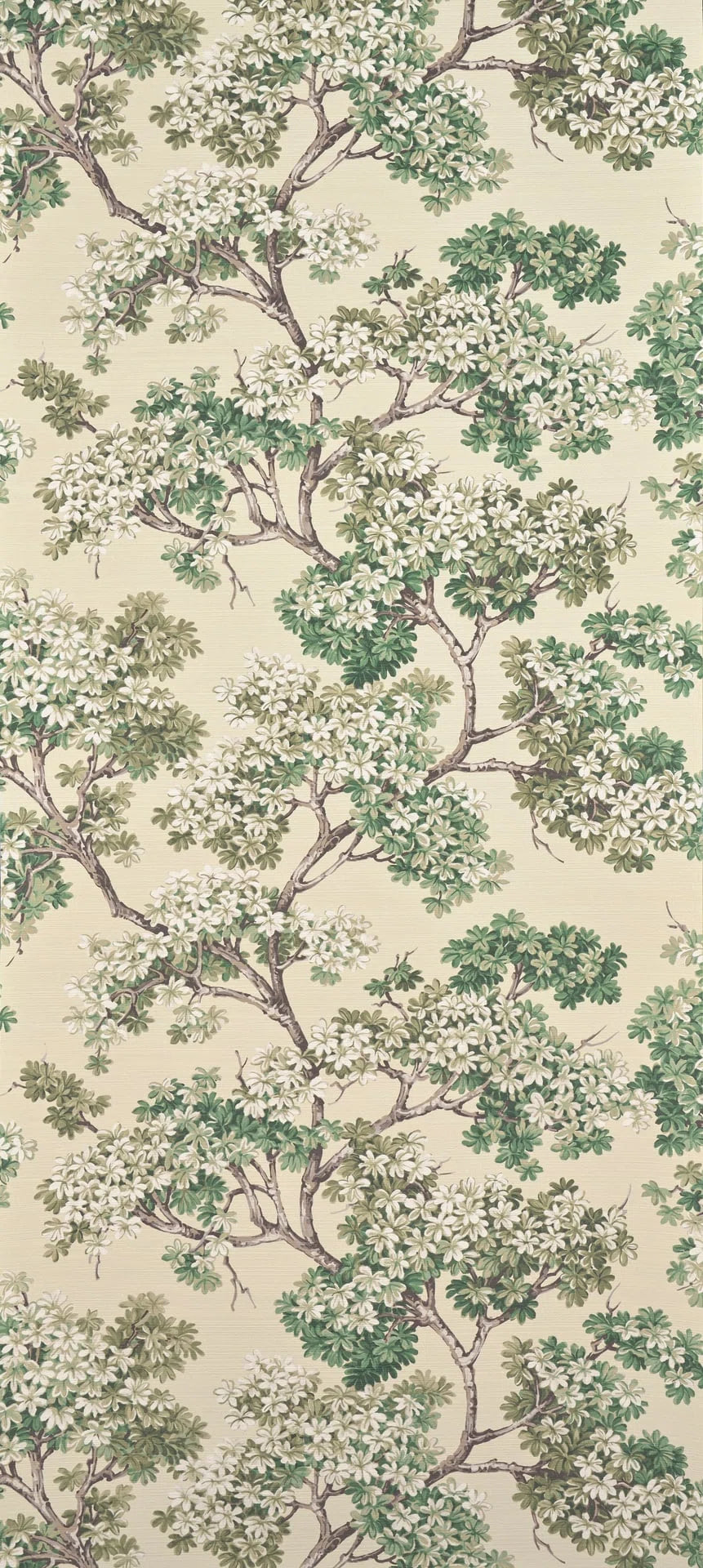 Courtine Fin D'ete - Jardin À La Française