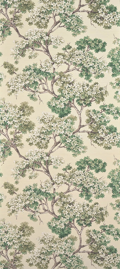 Courtine Fin D'ete - Jardin À La Française