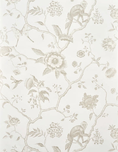 Jardin de paradis Coquille - Les Dessins