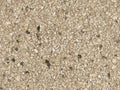 Minerals - MIN3102