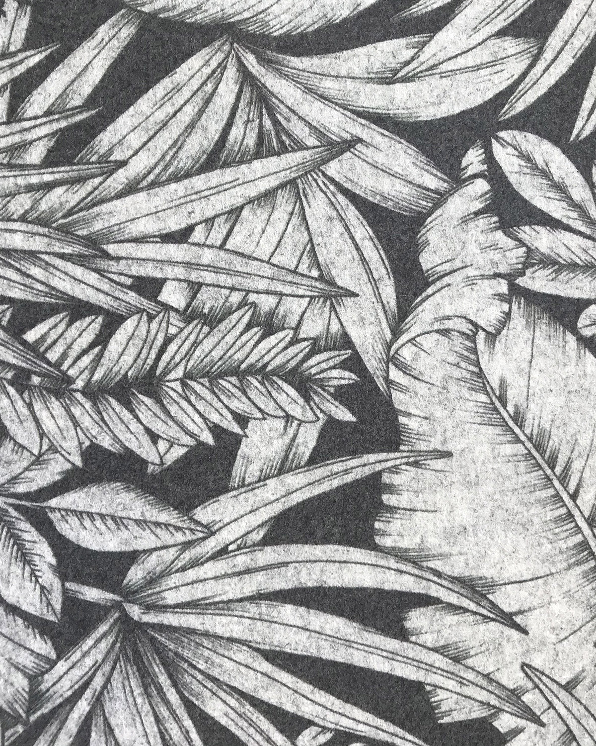 BTL003 (Botanical)