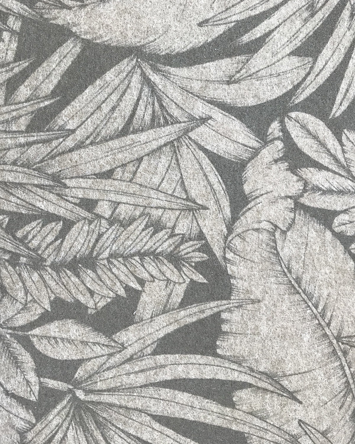 BTL004 (Botanical)