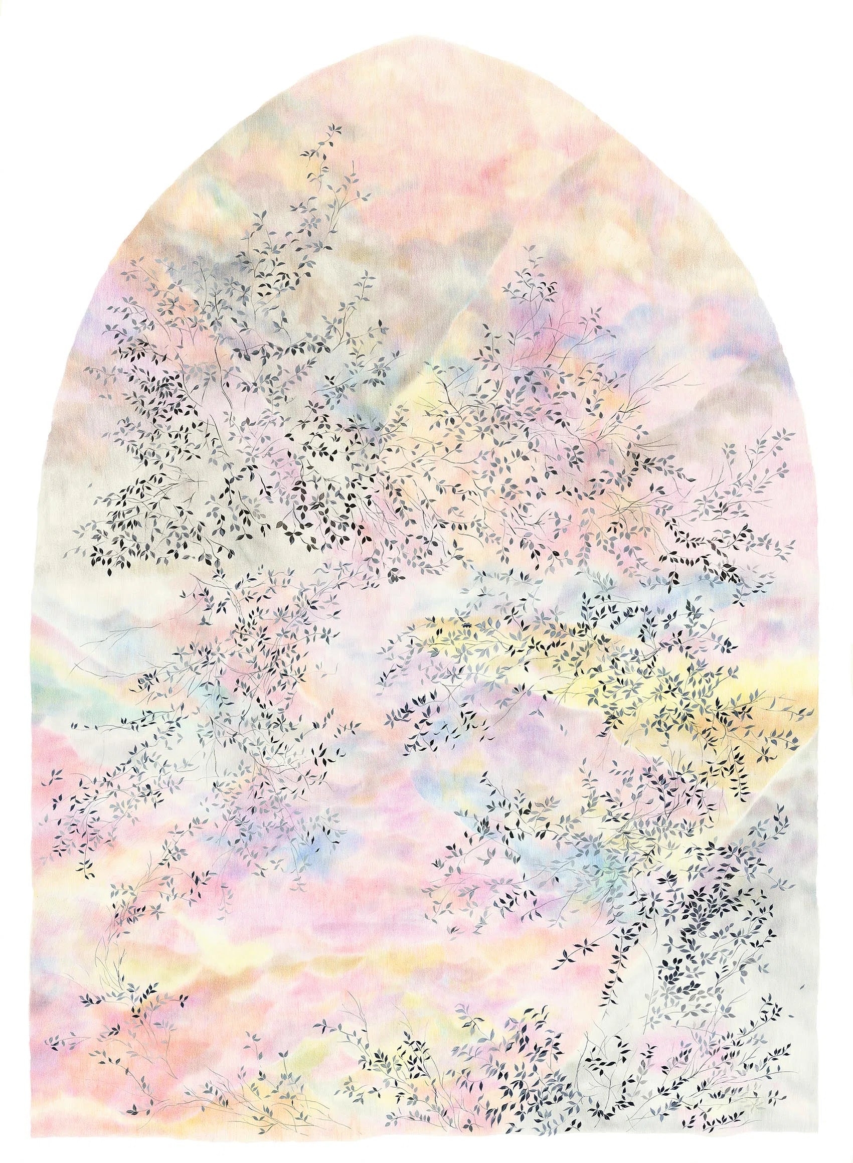 Acropora Opale - Les Dessins 7