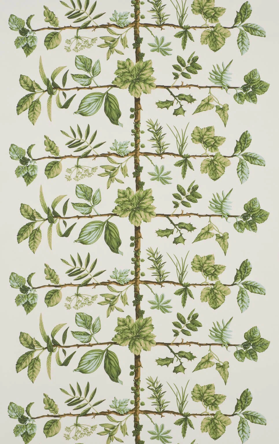 Wallpaper espalier Foin - Dessins Signatures