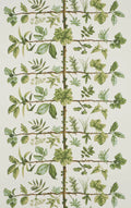 Wallpaper espalier Foin - Dessins Signatures