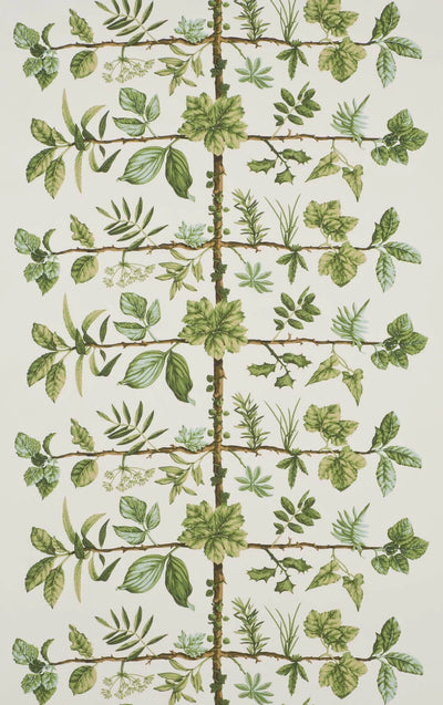 Wallpaper espalier Foin - Dessins Signatures