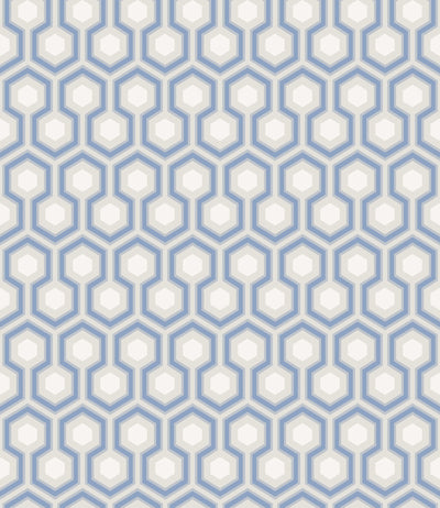 Hicks' Hexagon Hyacinth Blue & White on Cool Parchment