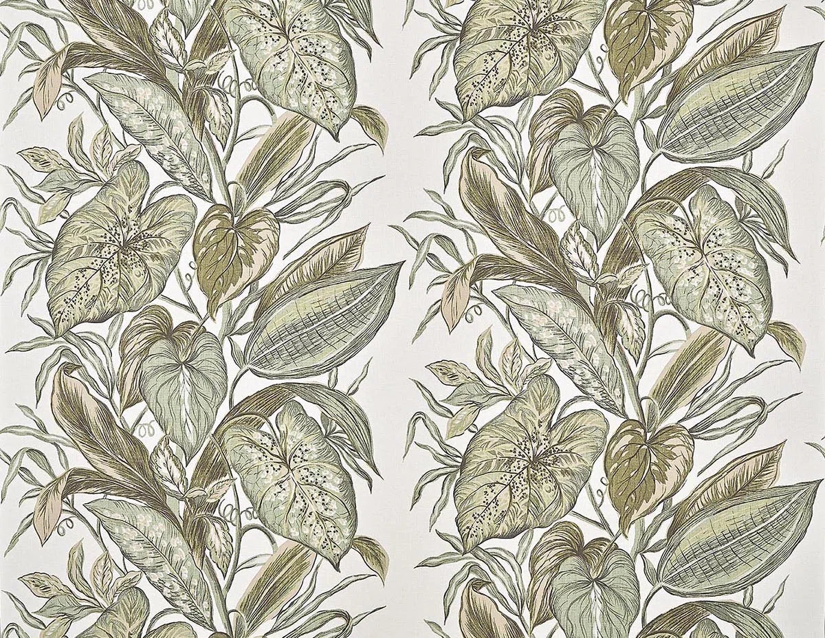 Flore Fusain - Jardins Secrets