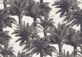 Mauritius Nuit - Jungle