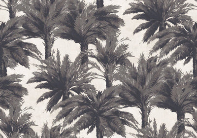 Mauritius Nuit - Jungle