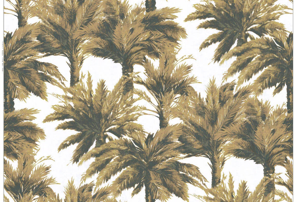 Pampa Jais - Jungle