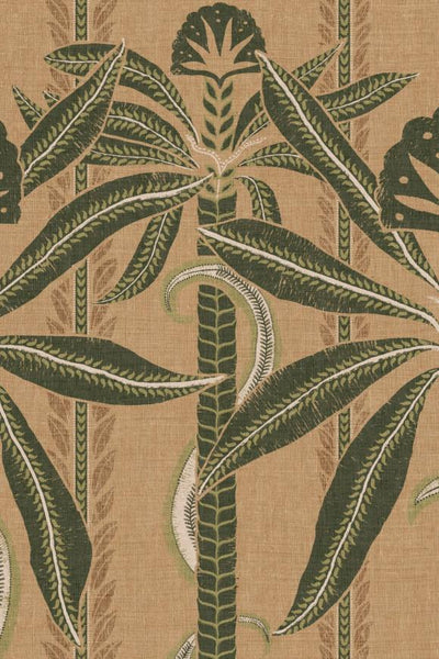 Kerala Forest - Indienne