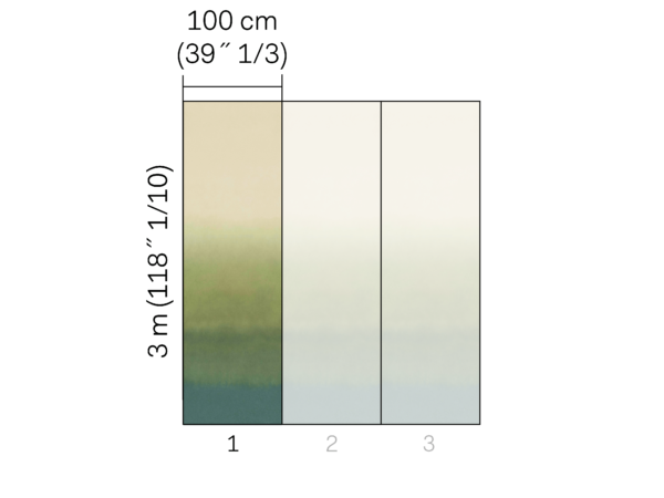 Joy - JOY81