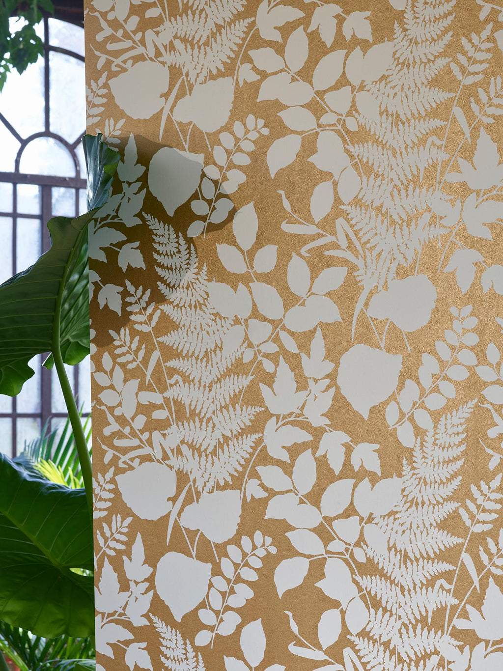 Les fougeres Champagne - Collection Veranda