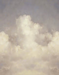 Nubem Nubem - Galerie