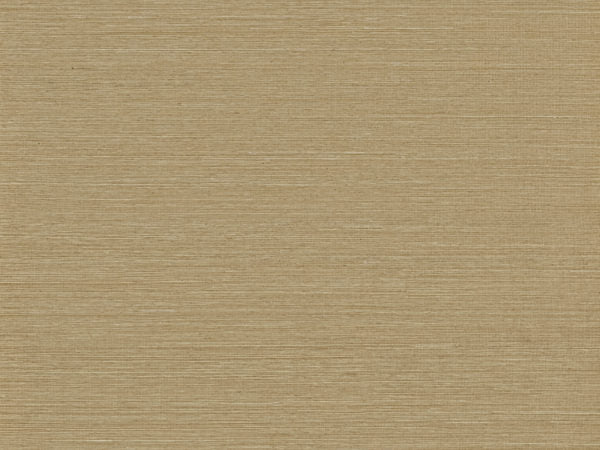 Kim Mupangilaï - KIM33