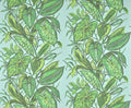Nassau Lagon - Jardins Secrets