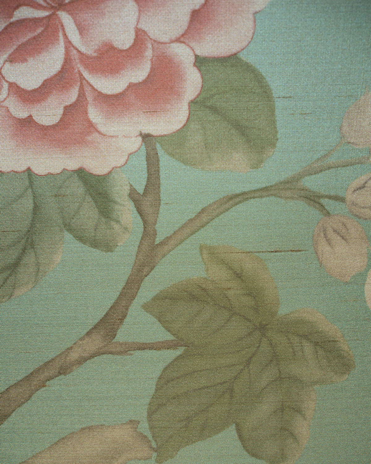 MAD001 (Madama Butterfly)
