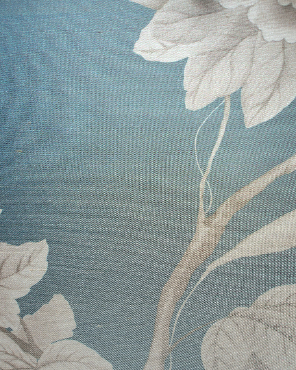 MAD003 (Madama Butterfly)
