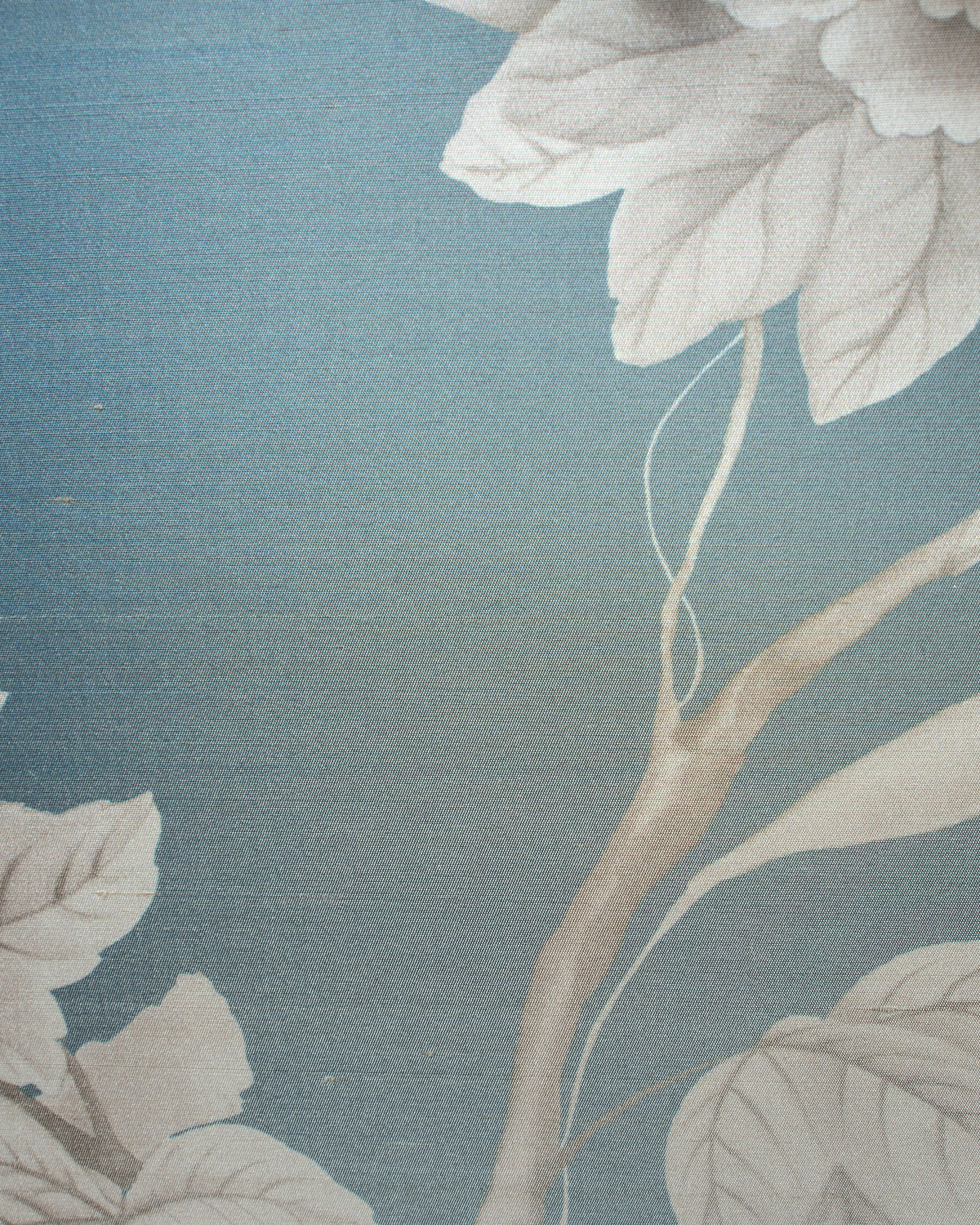 MAD003 (Madama Butterfly)