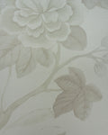 MAD004 (Madama Butterfly)