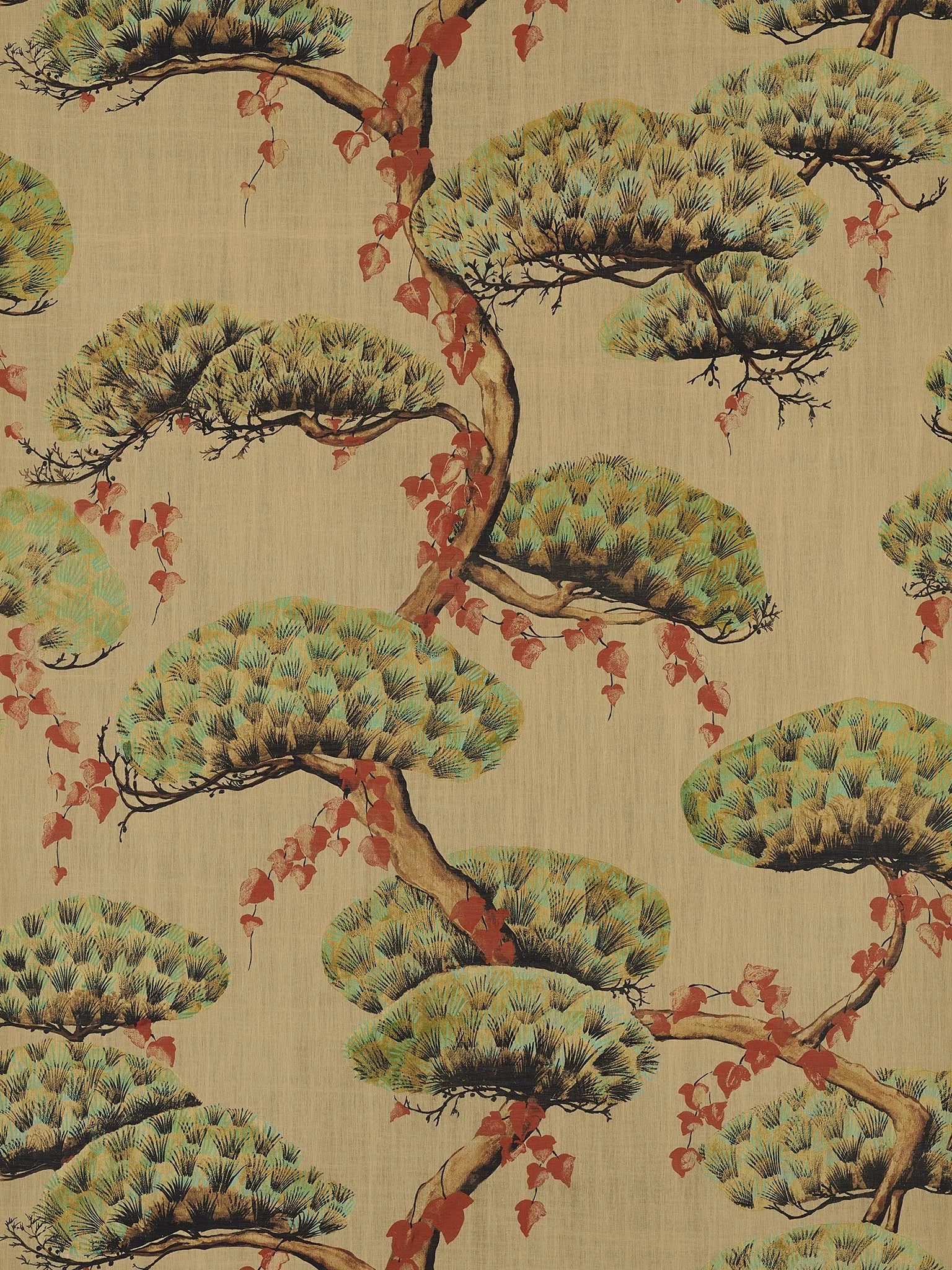Momiji Or - Les Dessins 5