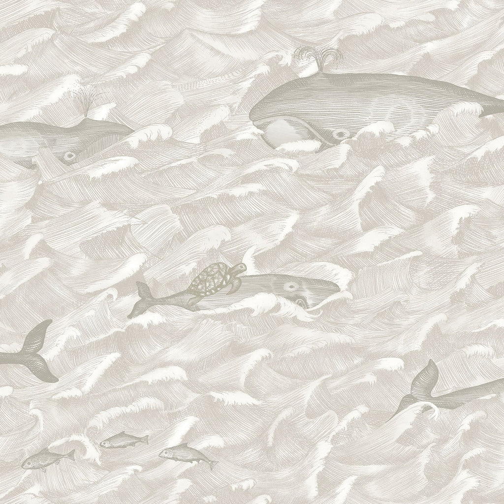 Melville Stone & Chalk