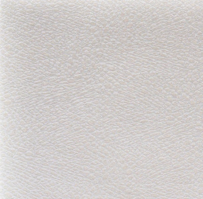 Esi Nacre - Natecru Textures N.3