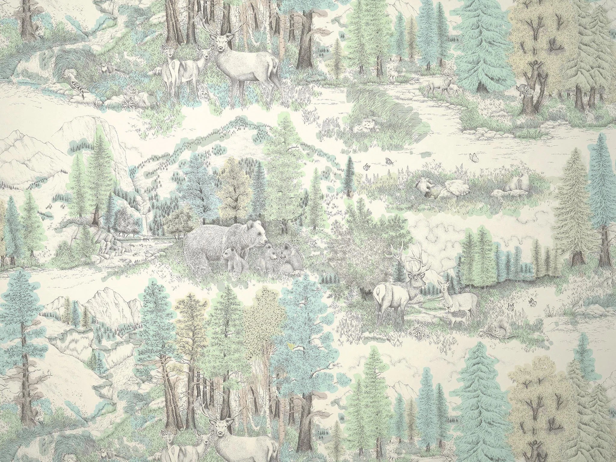 Caribou Sapin - Les Dessins 6