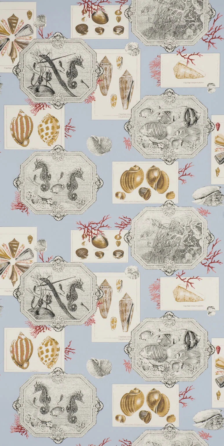 Aquarius Stone - Dessins Signatures