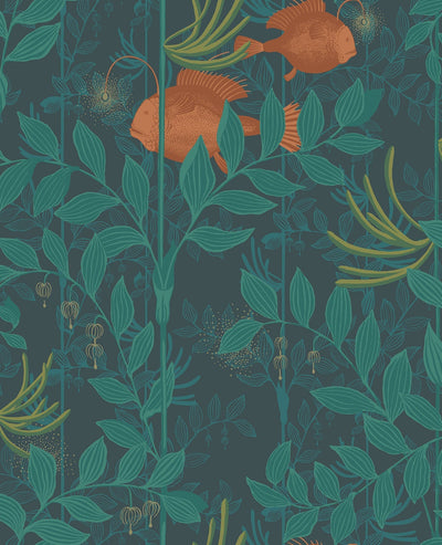 Nautilus Orange & Teal on Ink