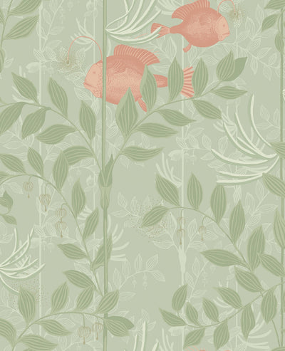 Nautilus Coral and Soft Olive