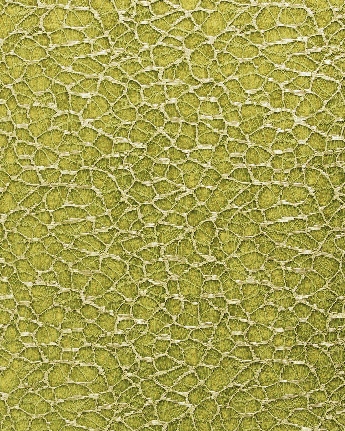 ORG004 (Organic)