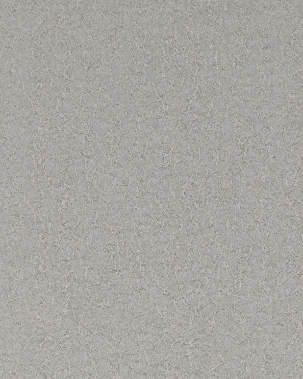 ORG007 (Organic)