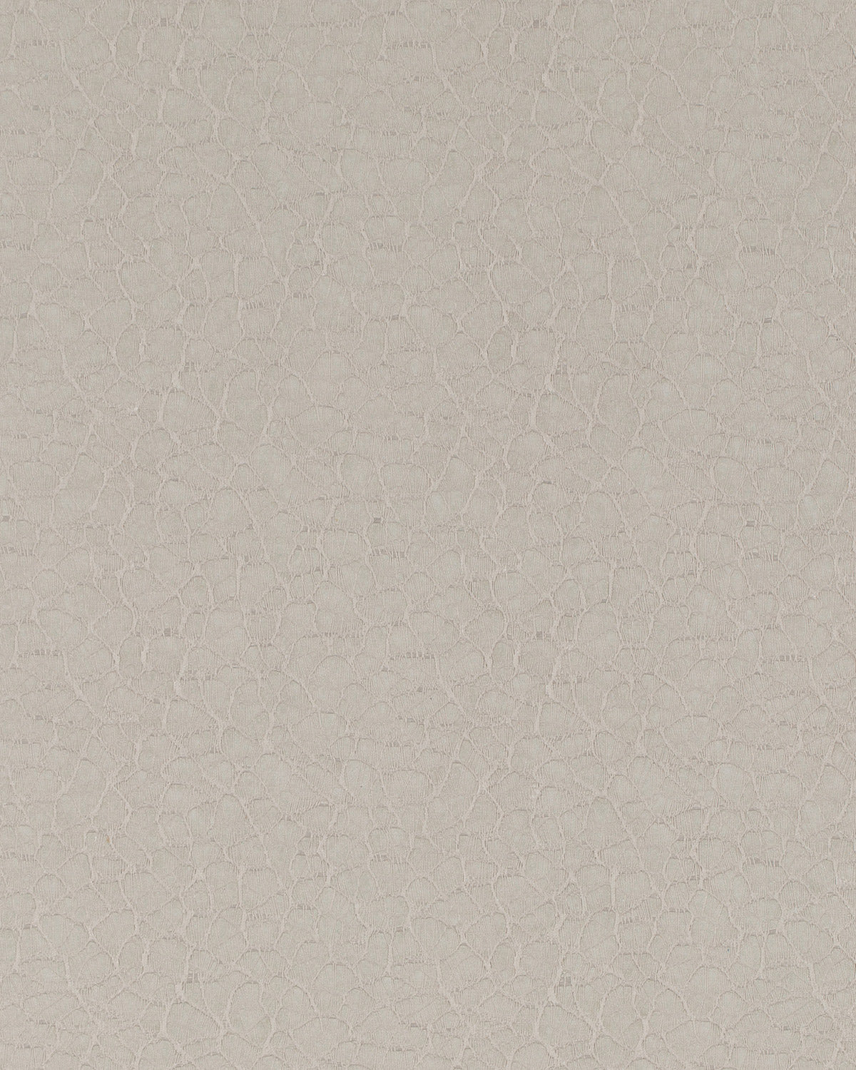ORG008 (Organic)