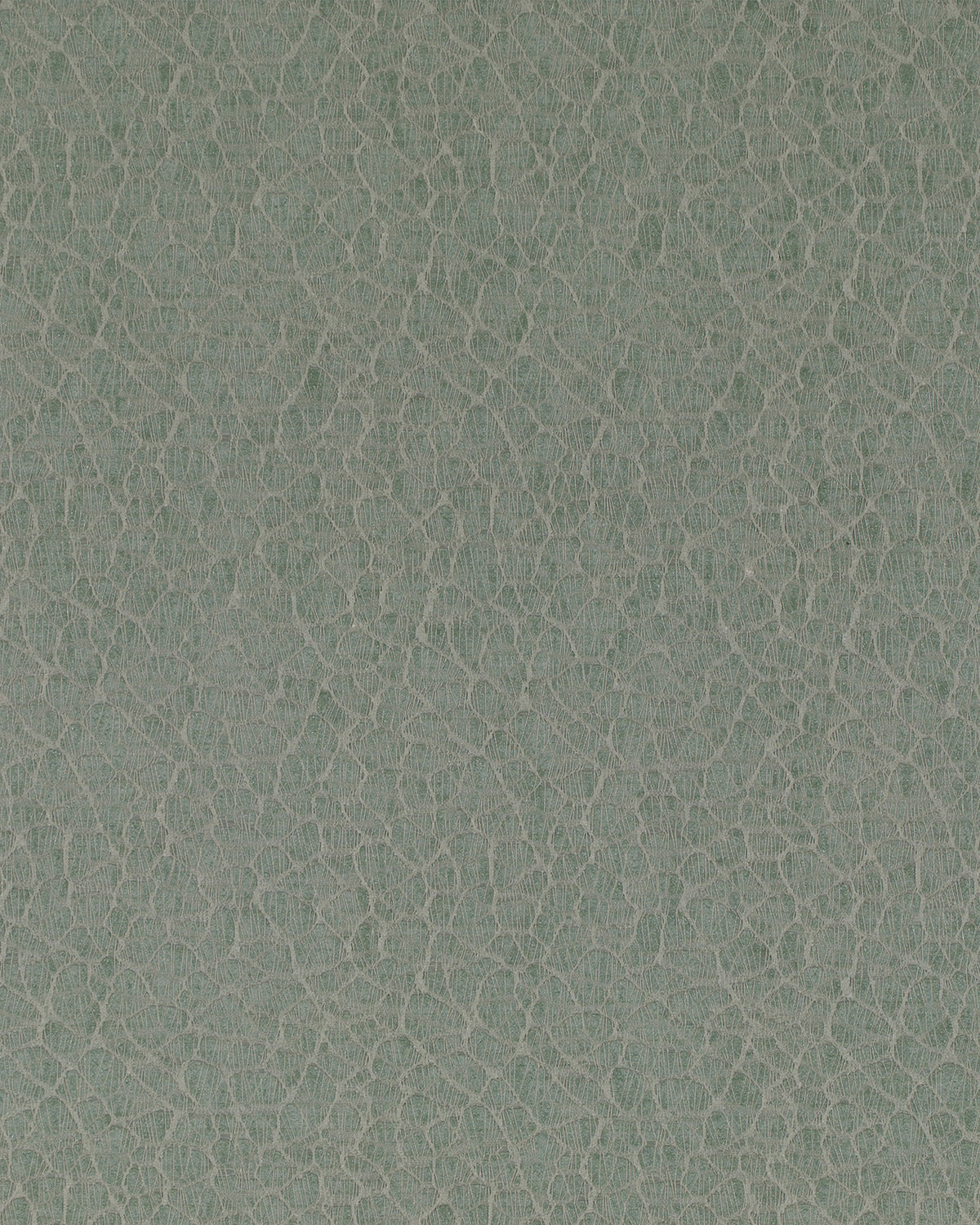 ORG010 (Organic)