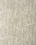 OSS001 (Osso)