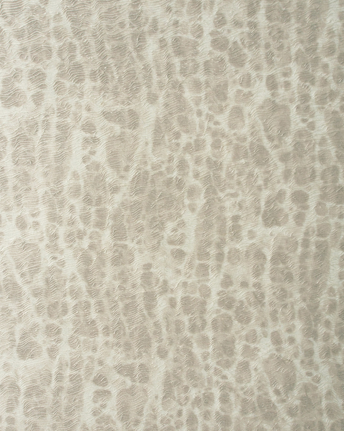 OSS001 (Osso)