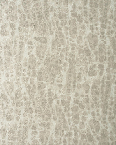 OSS001 (Osso)