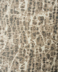 OSS002 (Osso)