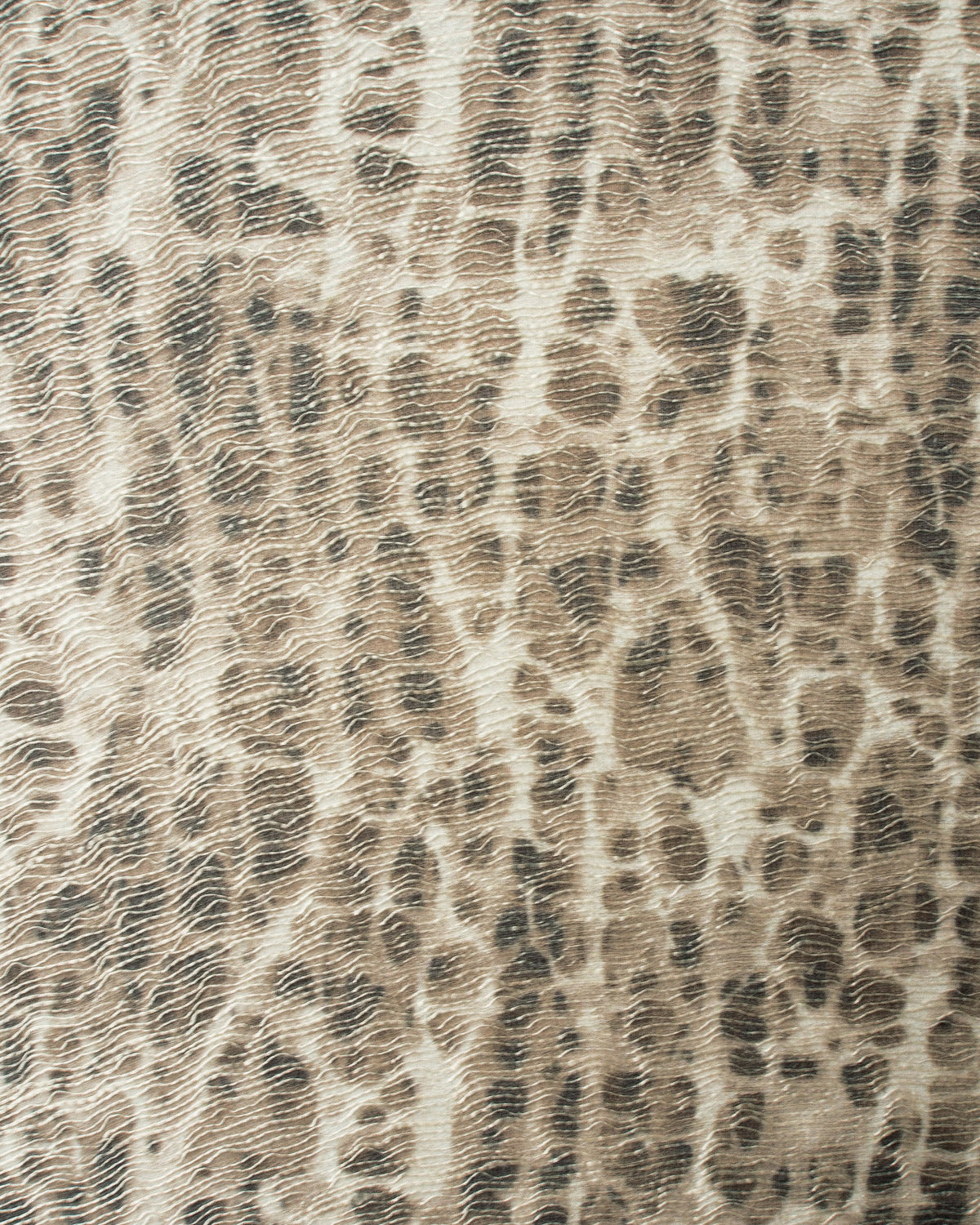 OSS002 (Osso)