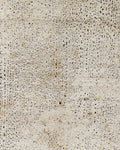 OXI101 (Silk Oxide)