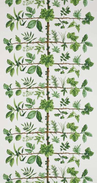 Wallpaper espalier Prairie - Dessins Signatures